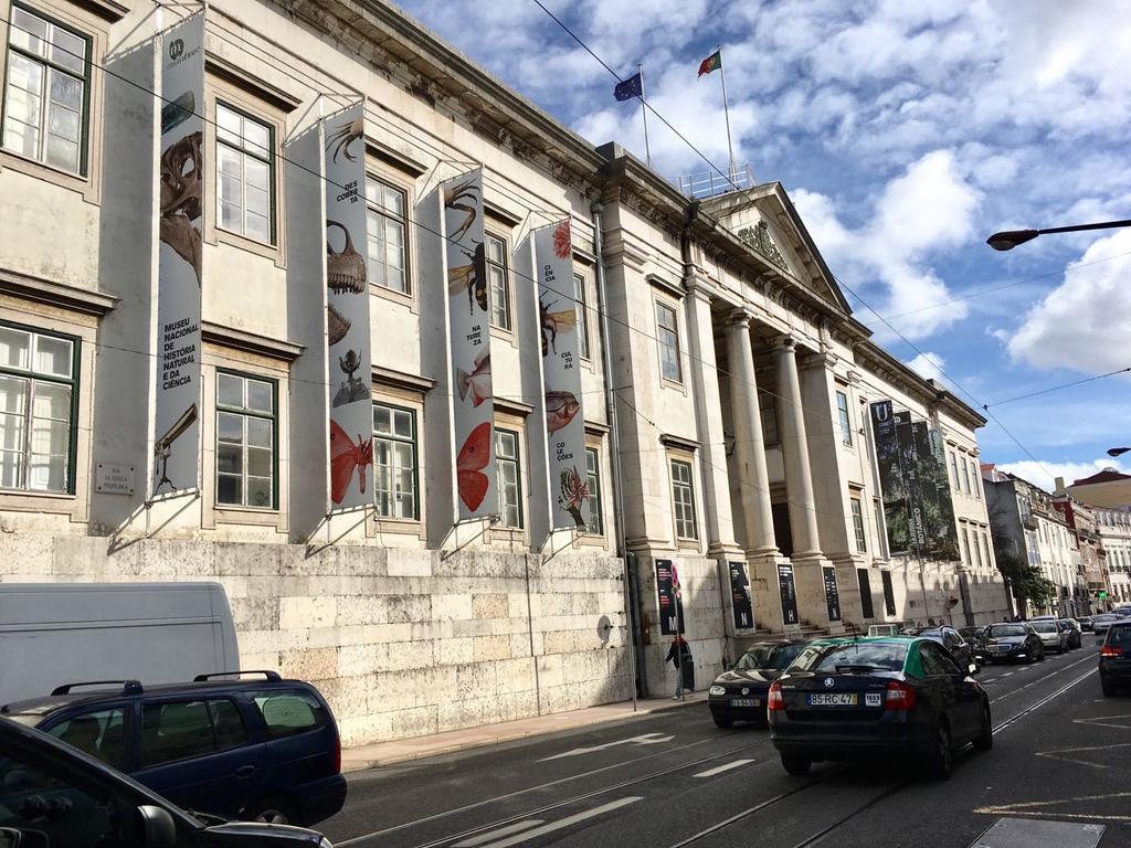 Casa Eclea Lisbon Principe Real Apartman Kültér fotó